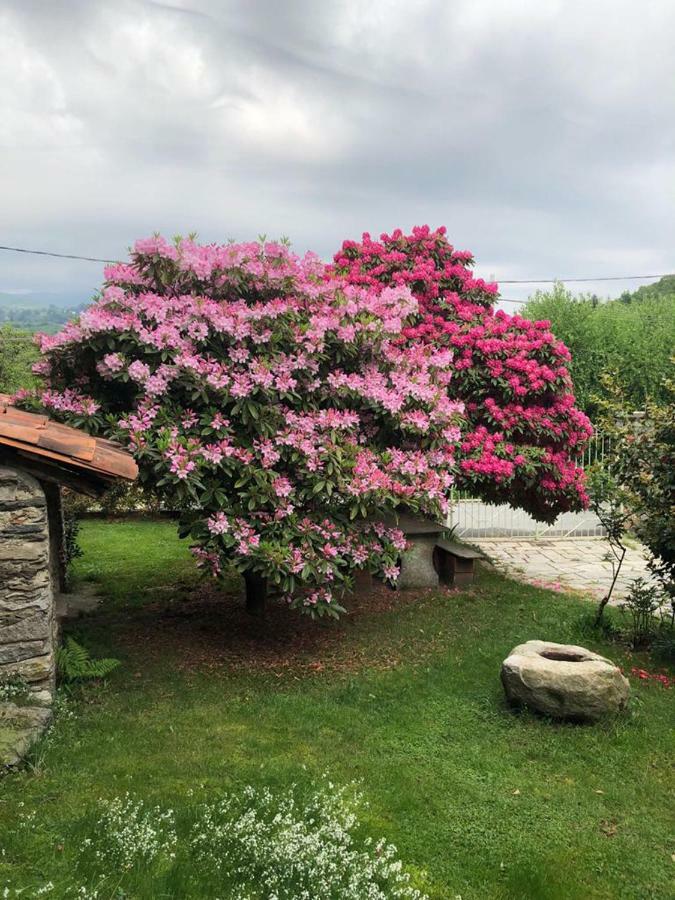 Ma Maison Art Brovello-Carpugnino Exterior foto